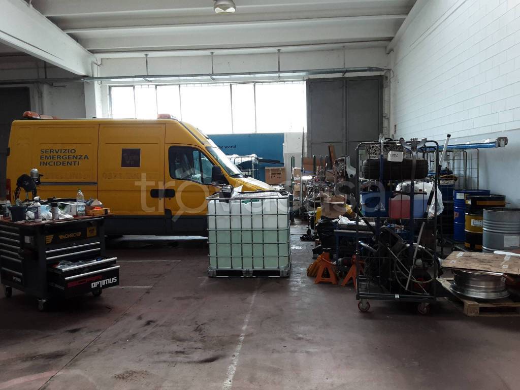 immagine annuncio 7 di 15