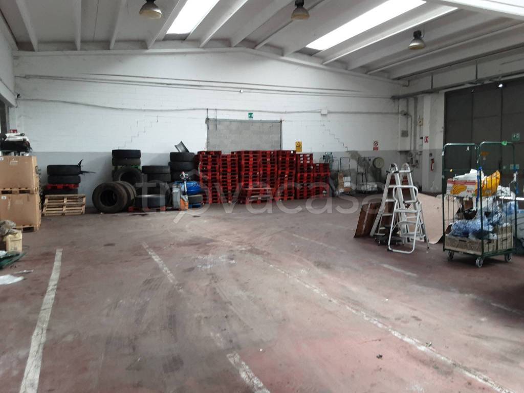 immagine annuncio 13 di 15