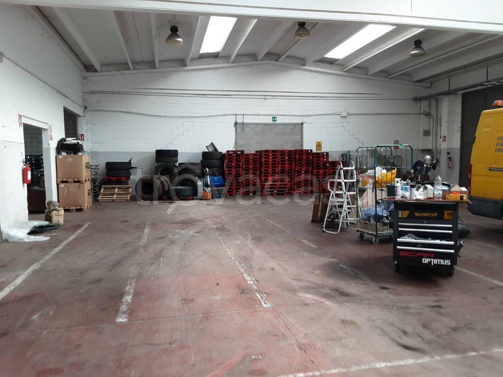 immagine annuncio 12 di 15