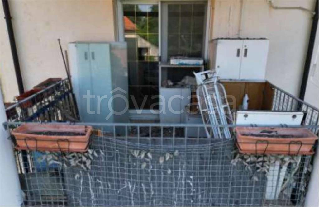 immagine annuncio 9 di 12