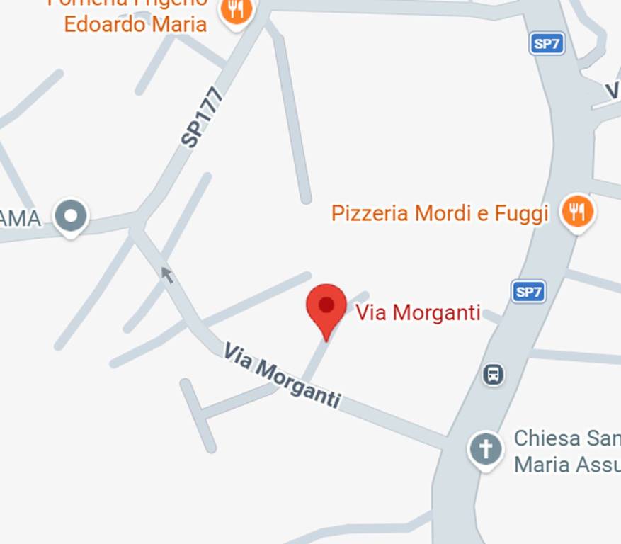 immagine annuncio 10 di 11