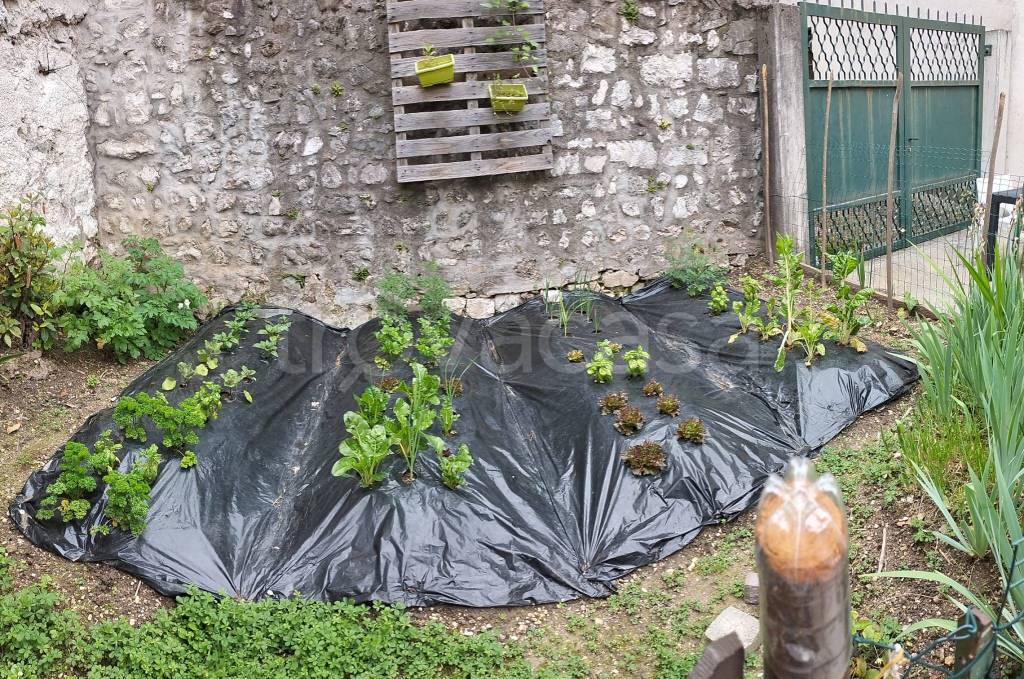 immagine annuncio 7 di 10