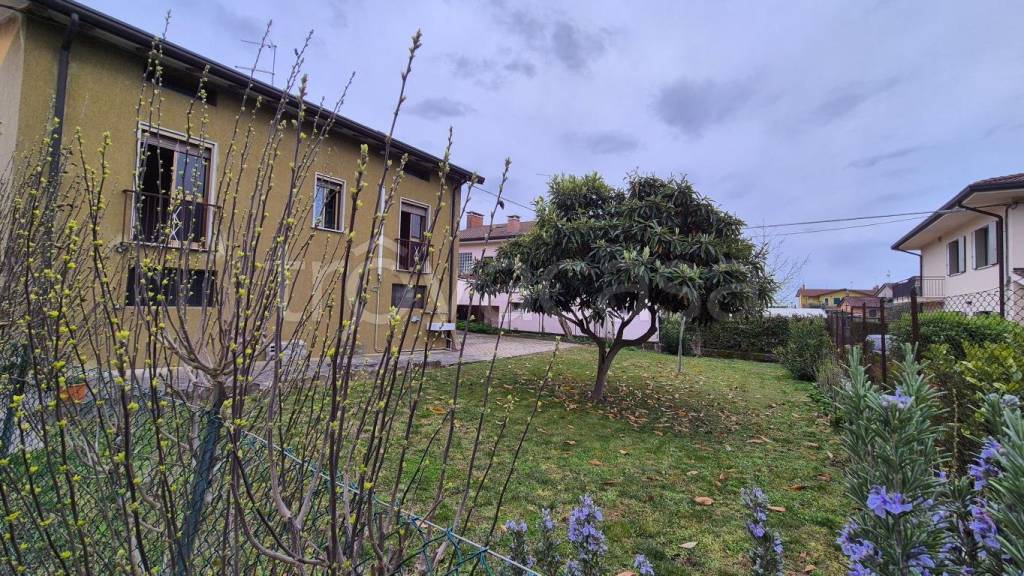 immagine annuncio 2 di 12