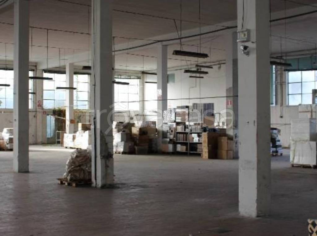 immagine annuncio 3 di 13