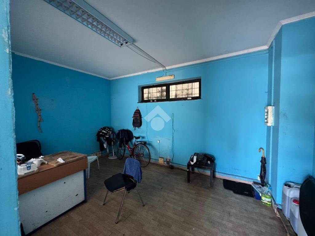 immagine annuncio 11 di 15