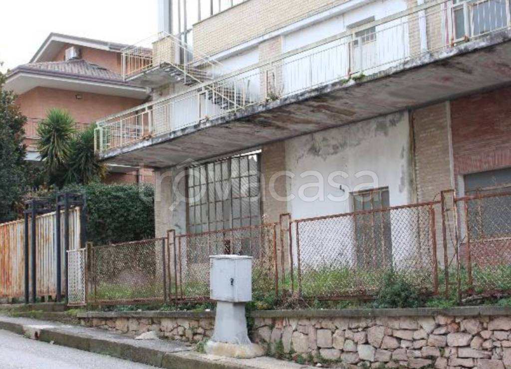 immagine annuncio 10 di 13