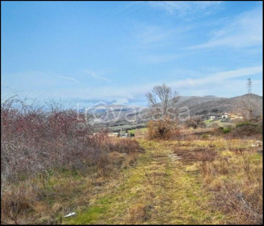 immagine annuncio 2 di 12