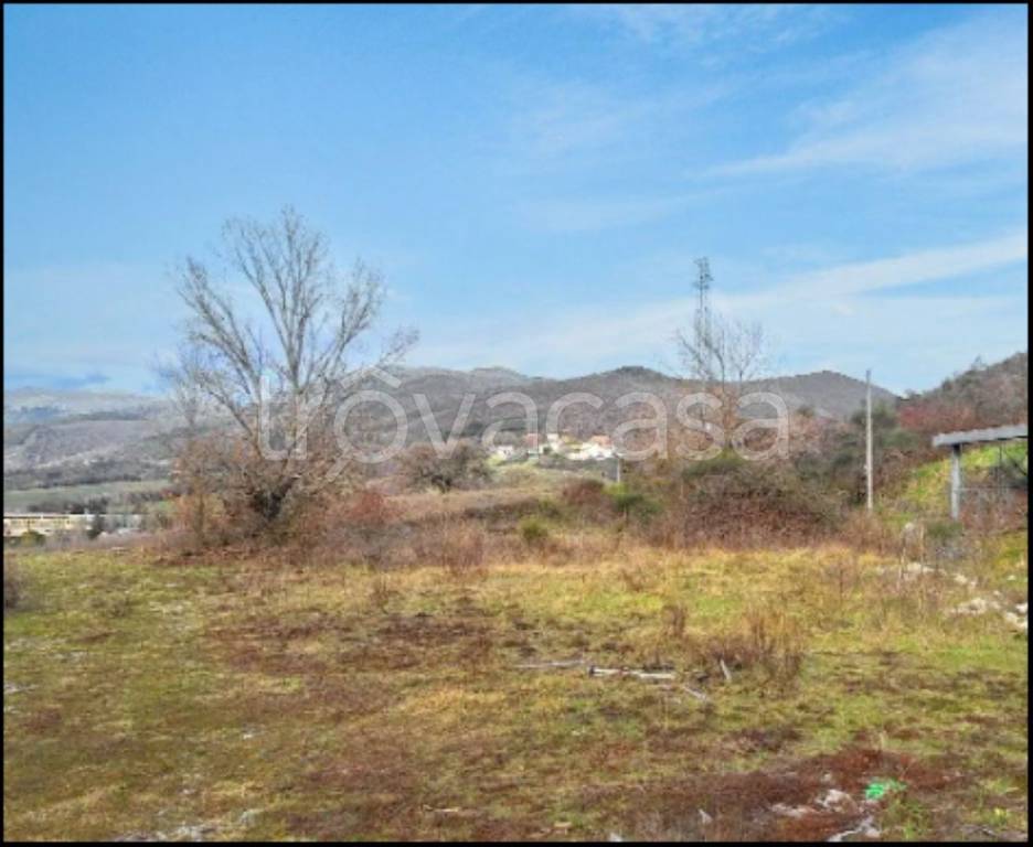 immagine annuncio 3 di 12