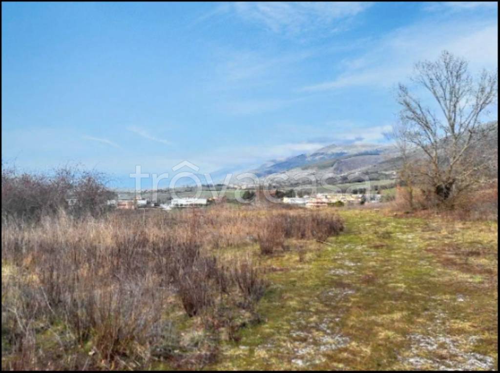 immagine annuncio 4 di 12