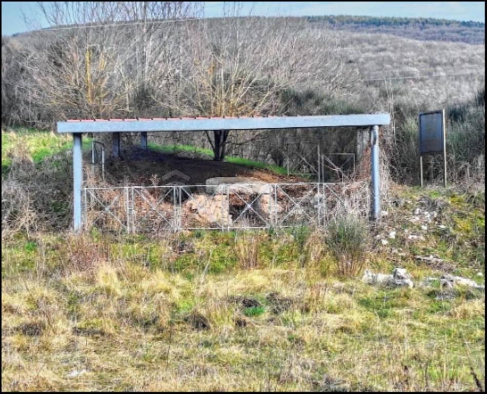 immagine annuncio 6 di 12