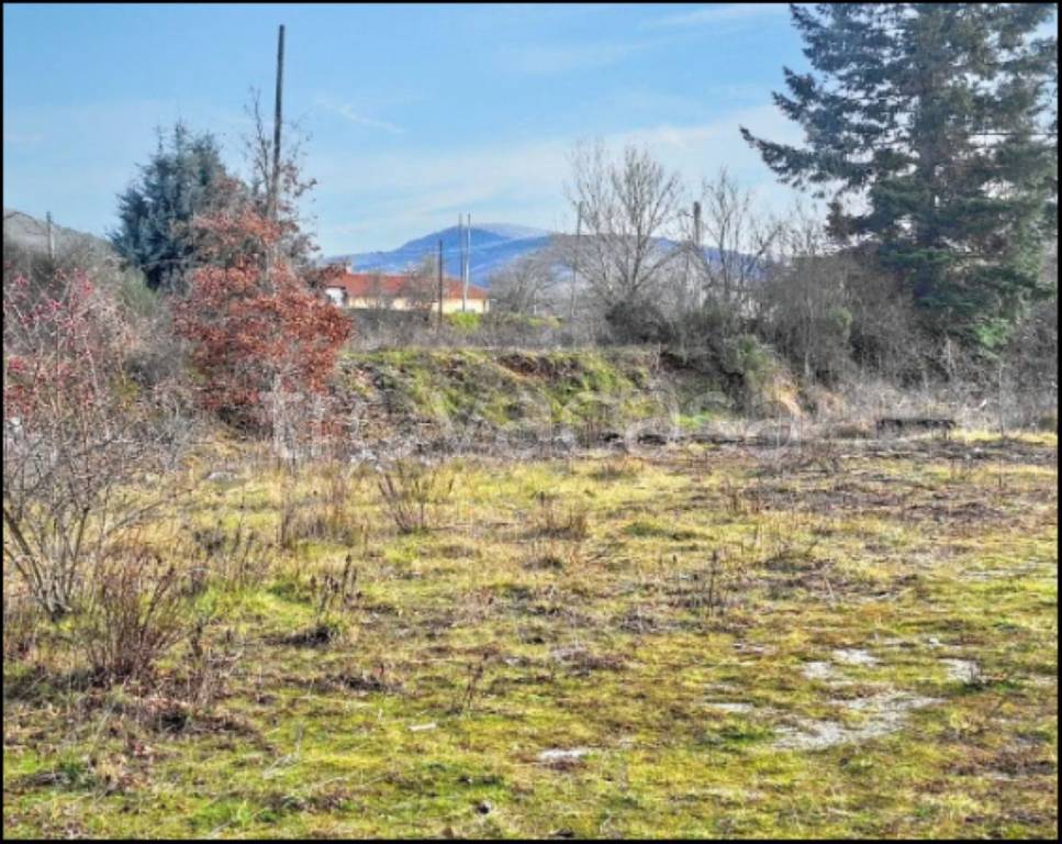 immagine annuncio 7 di 12