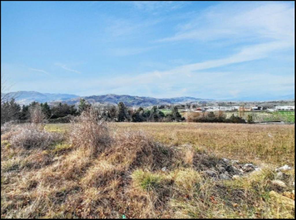 immagine annuncio 9 di 12