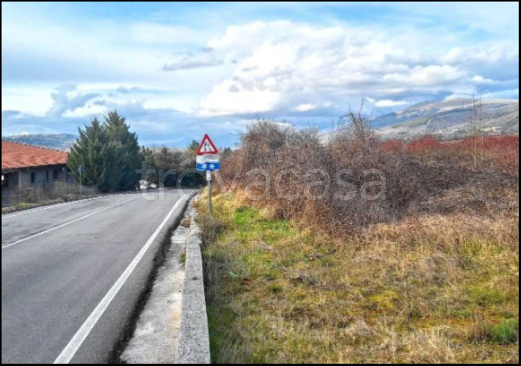 immagine annuncio 10 di 12