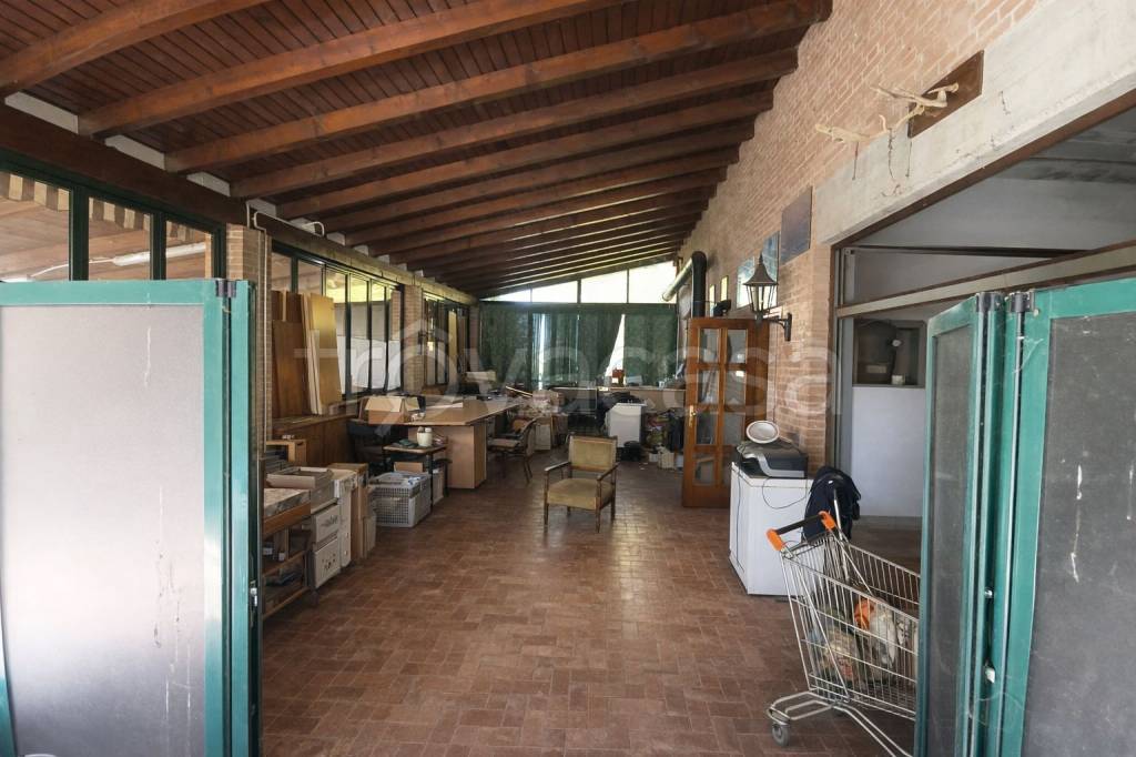 immagine annuncio 10 di 15