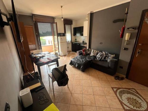 immagine annuncio 3 di 14