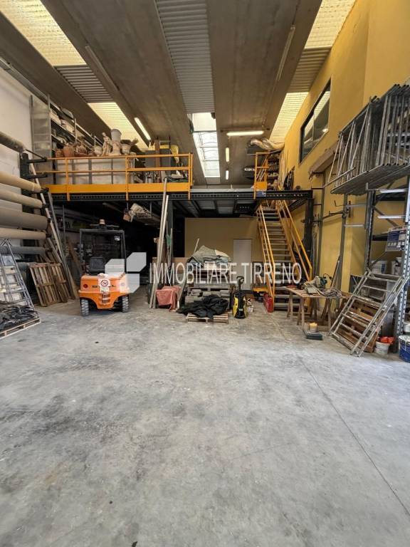 immagine annuncio 12 di 13