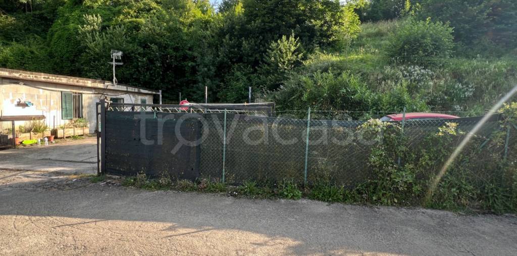 immagine annuncio 4 di 11