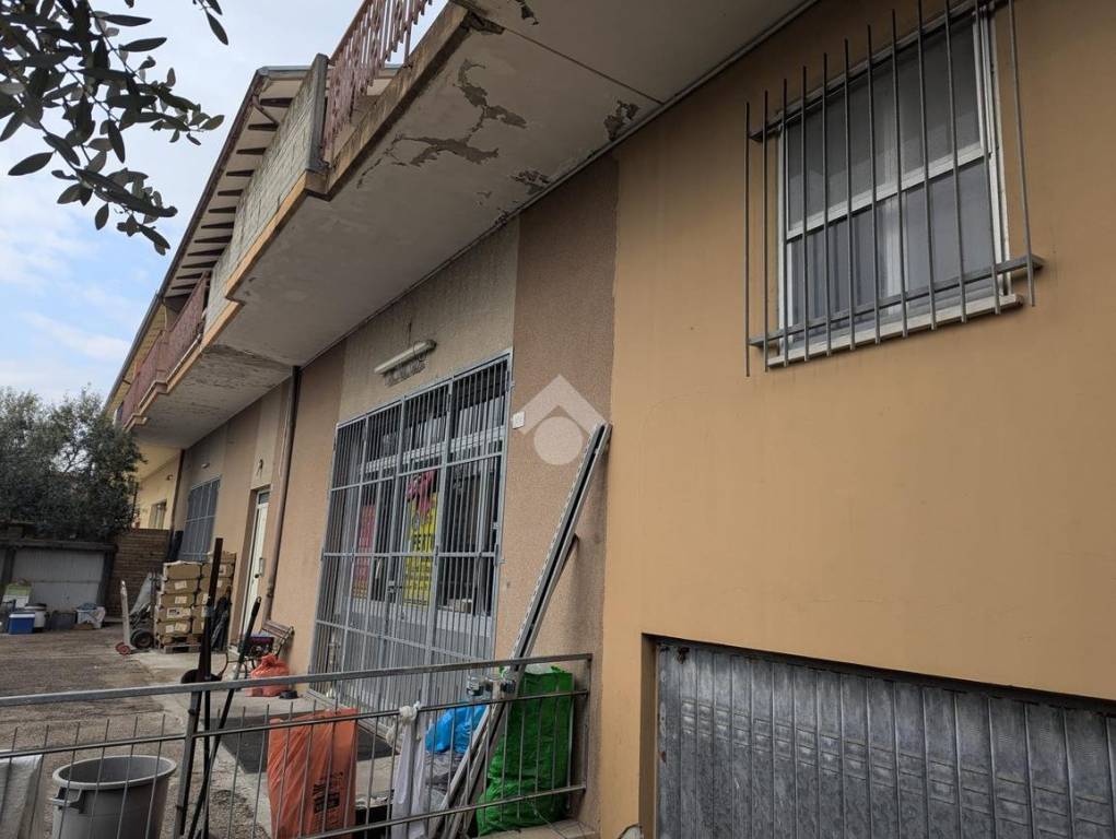 immagine annuncio 2 di 11