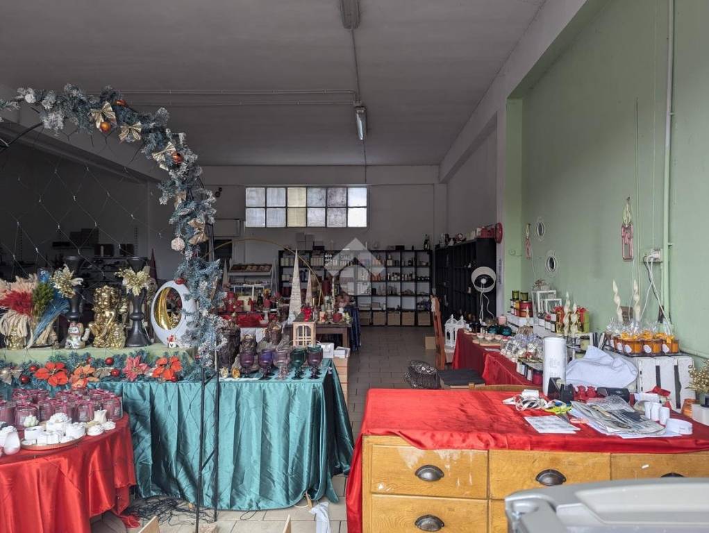 immagine annuncio 3 di 11