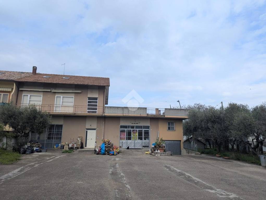 immagine annuncio 4 di 11