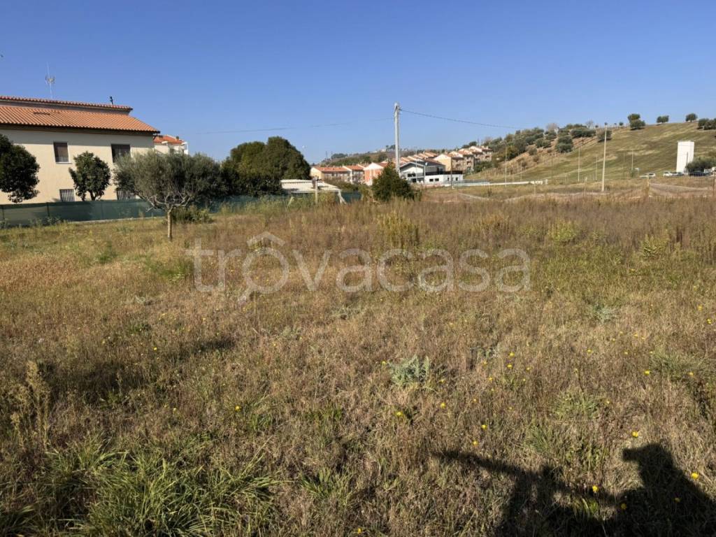 immagine annuncio 2 di 12