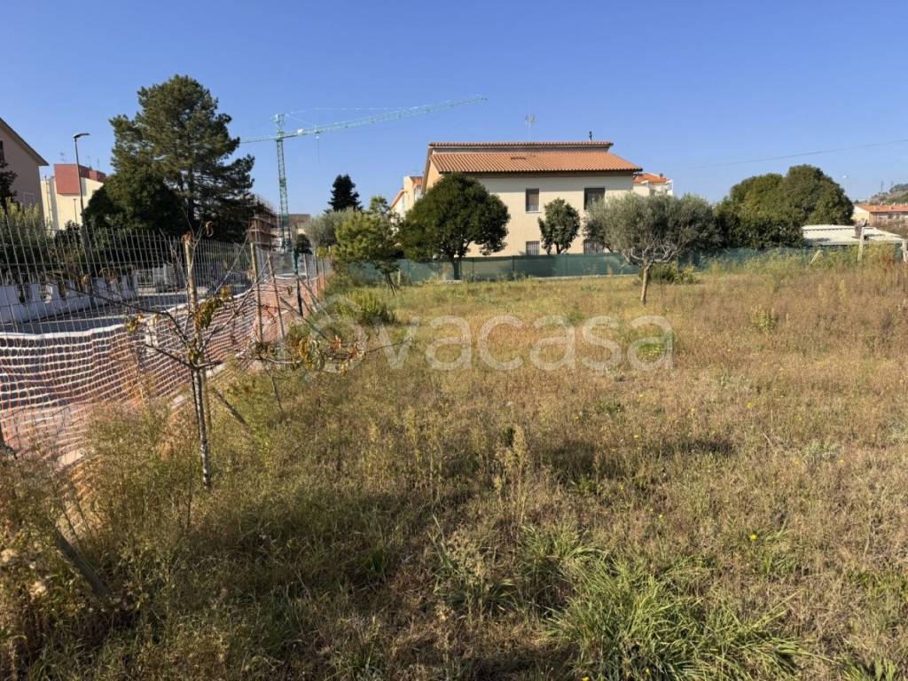 immagine annuncio 3 di 12