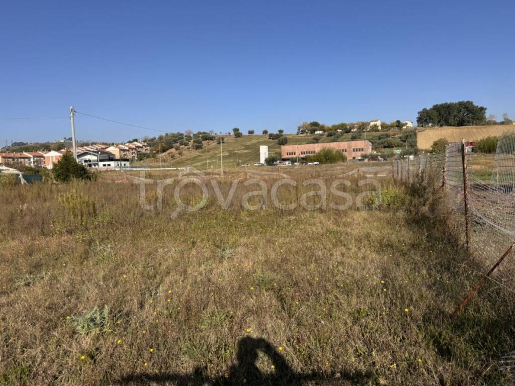 immagine annuncio 4 di 12