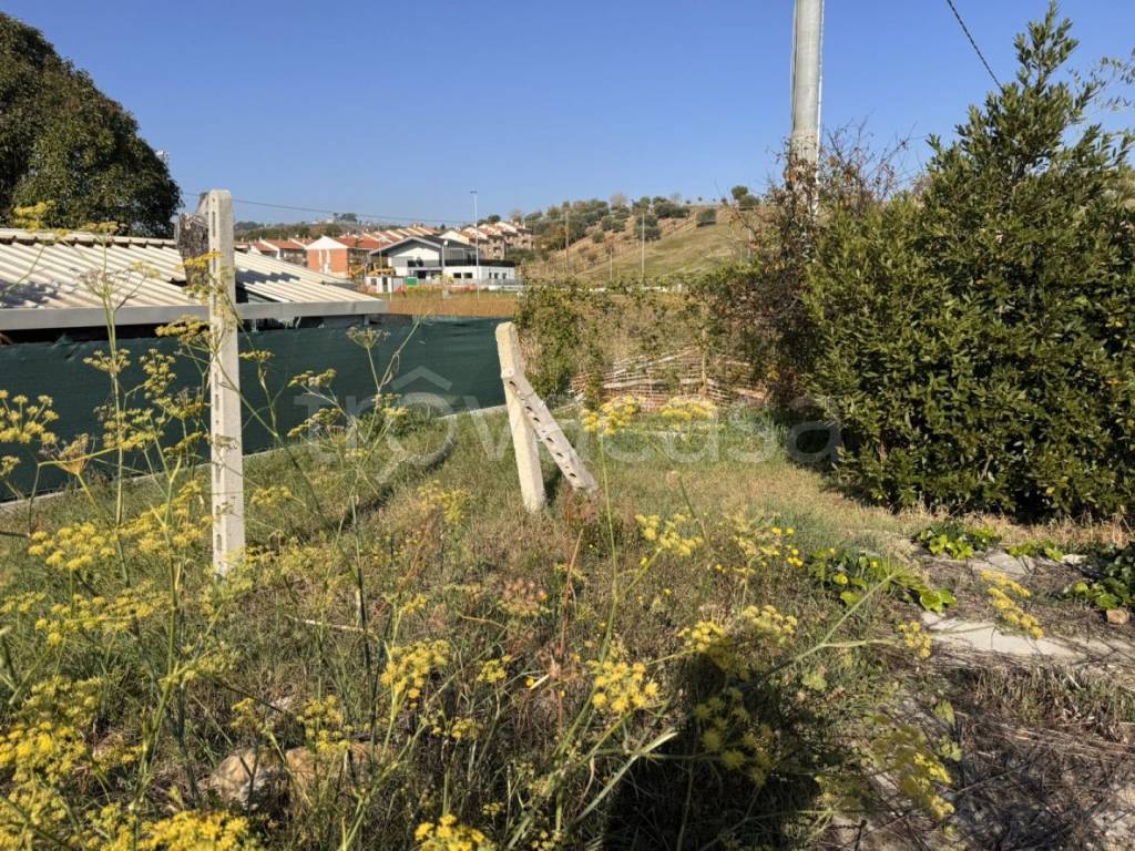 immagine annuncio 6 di 12