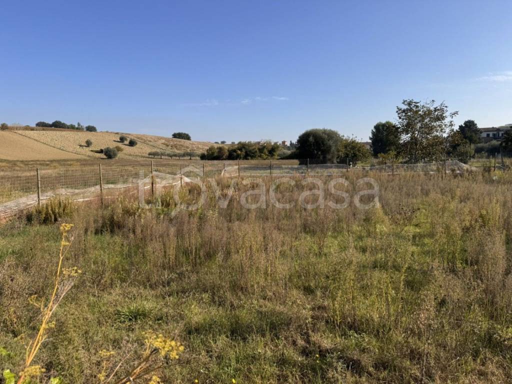 immagine annuncio 7 di 12