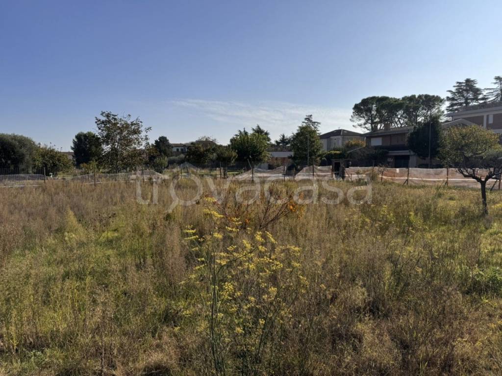 immagine annuncio 8 di 12