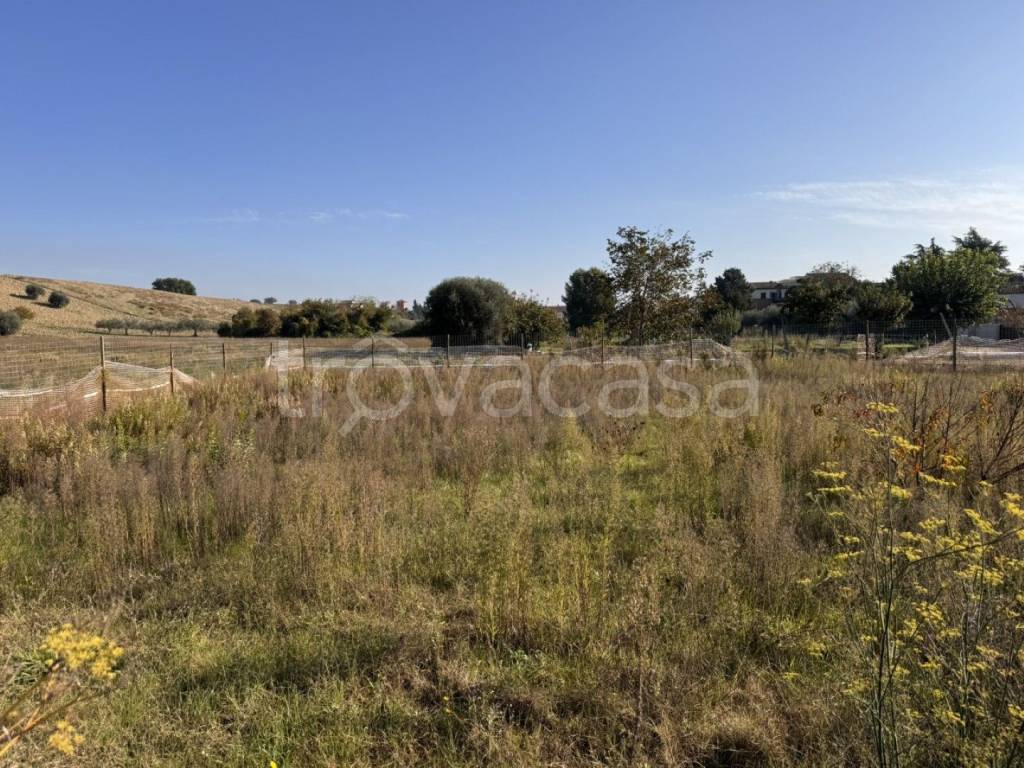 immagine annuncio 9 di 12