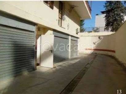 immagine annuncio 12 di 14