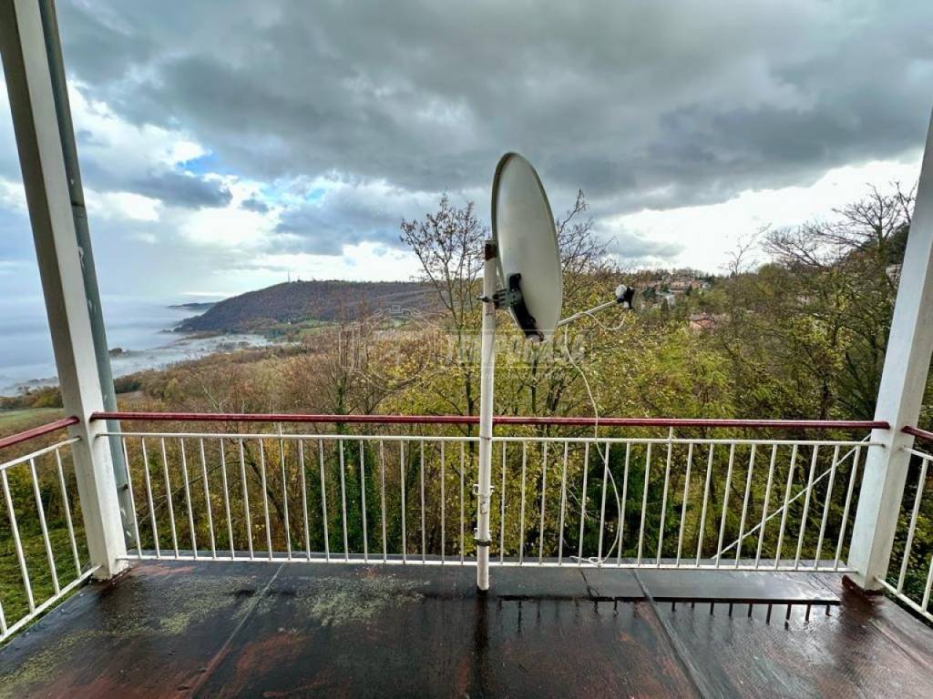 immagine annuncio 2 di 6