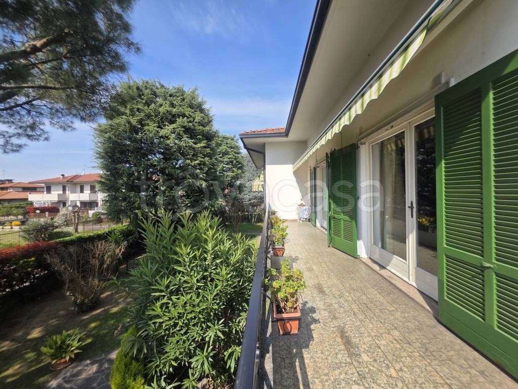 immagine annuncio 12 di 15