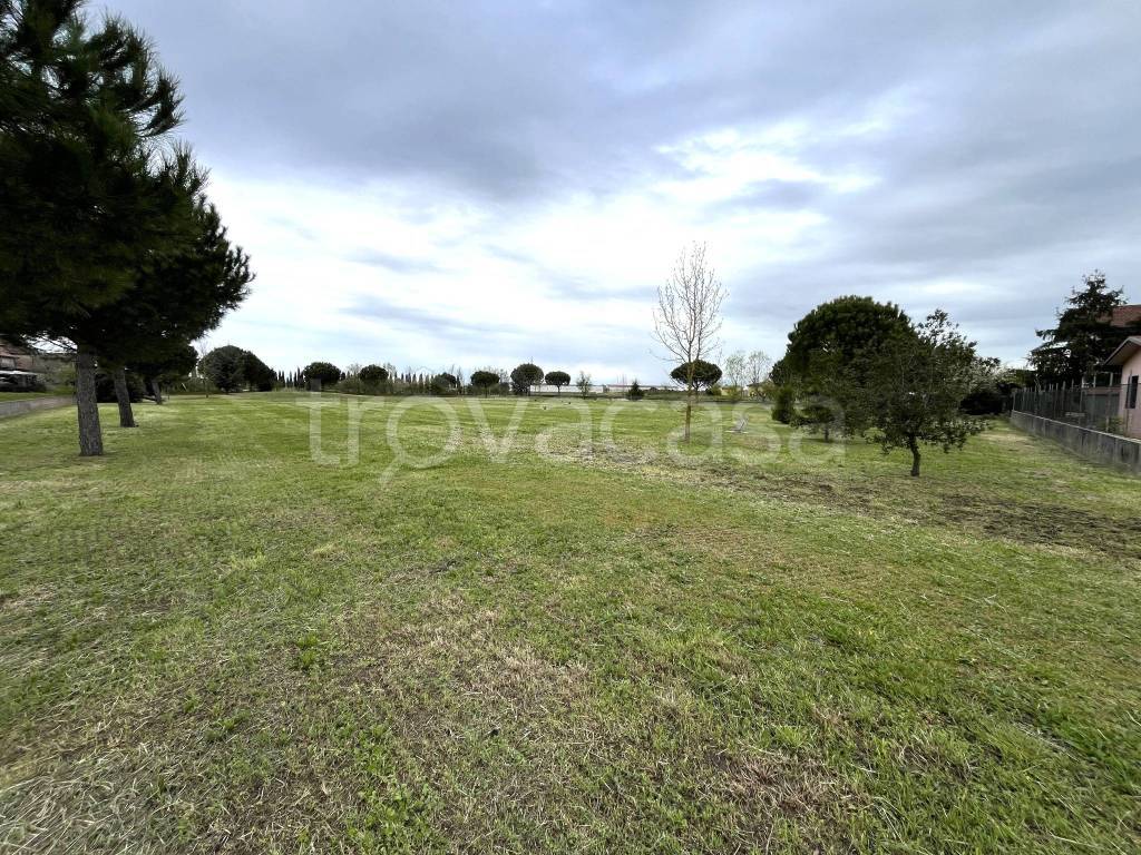 immagine annuncio 3 di 11