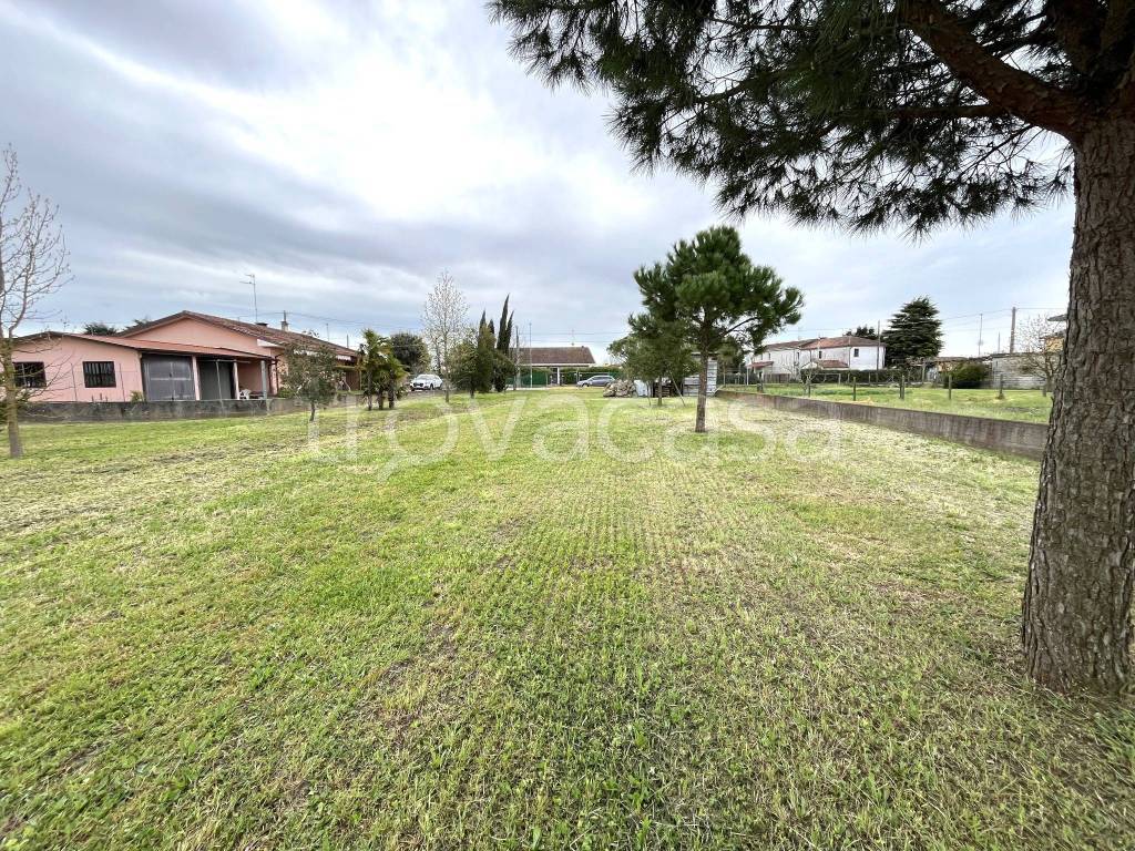 immagine annuncio 7 di 11