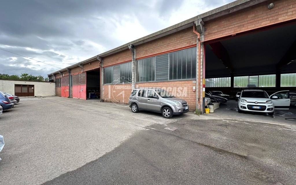 immagine annuncio 4 di 15