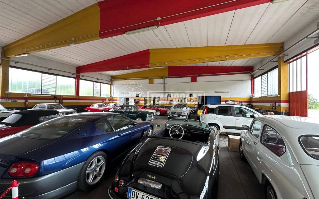 immagine annuncio 12 di 15