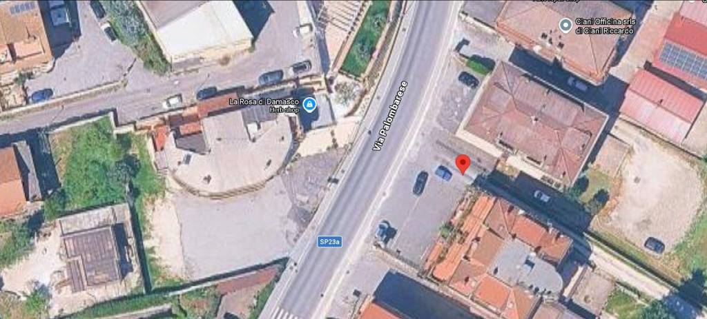 immagine annuncio 9 di 11