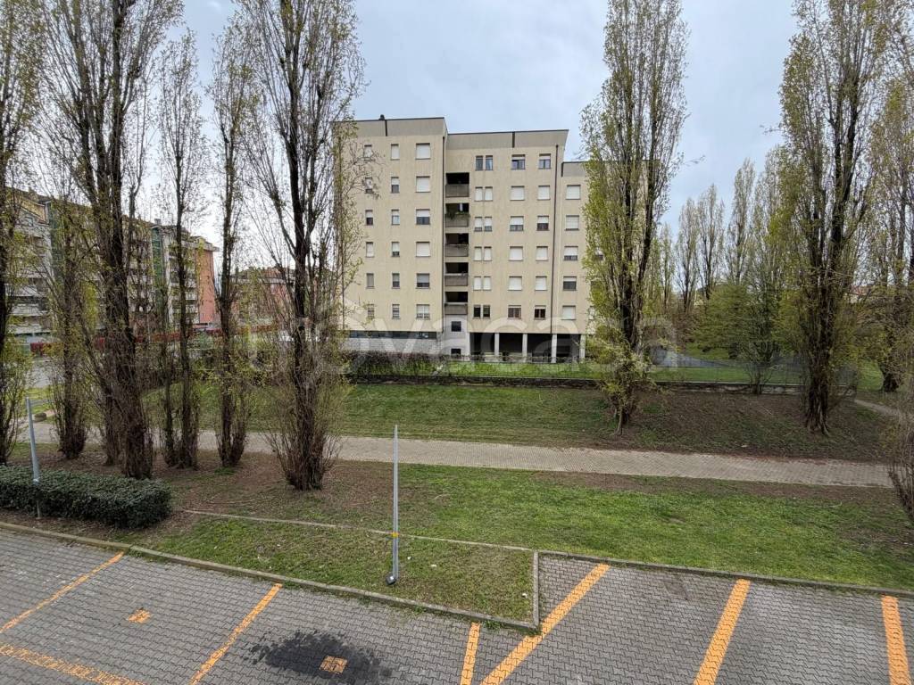 immagine annuncio 12 di 13