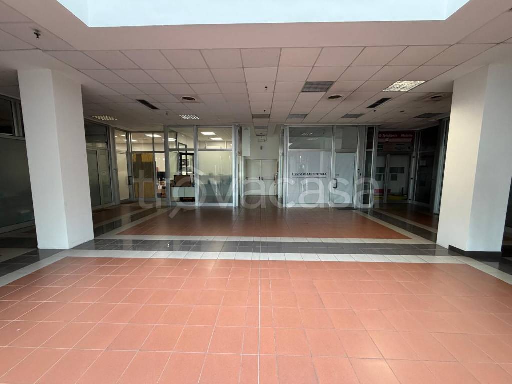 immagine annuncio 7 di 13