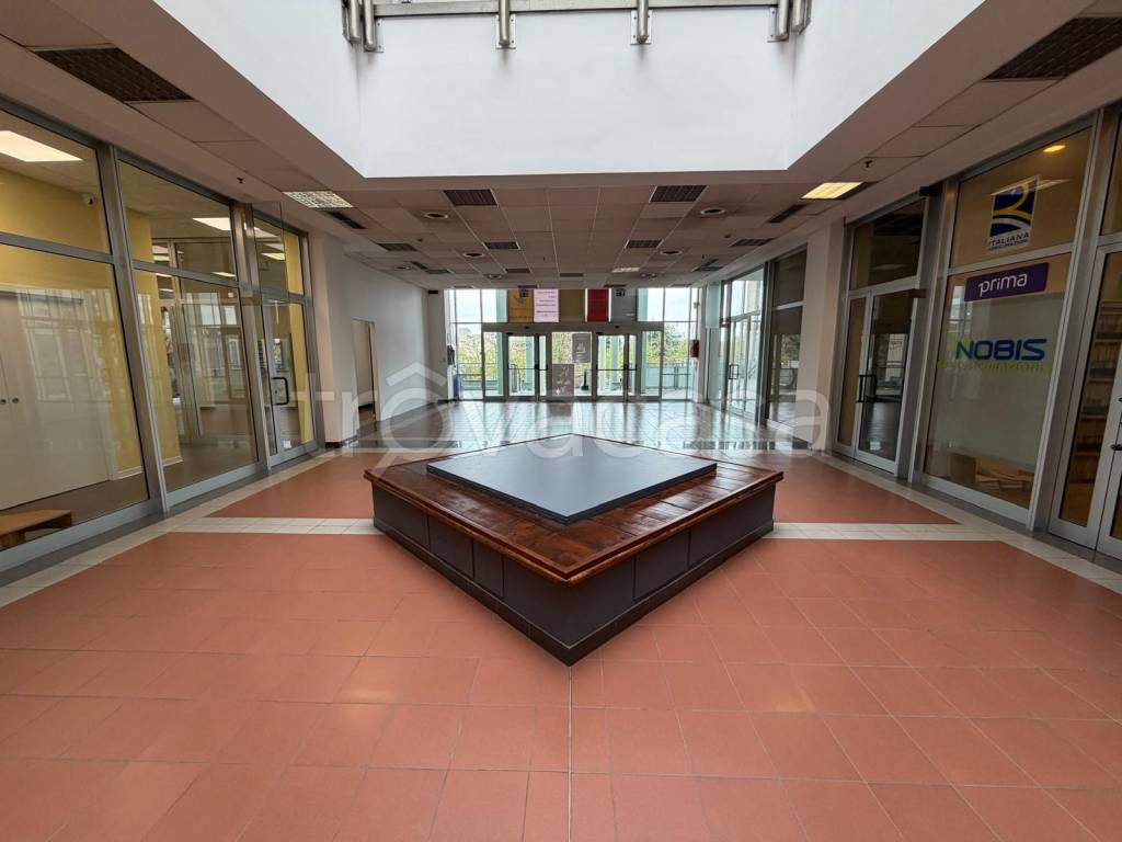 immagine annuncio 6 di 13