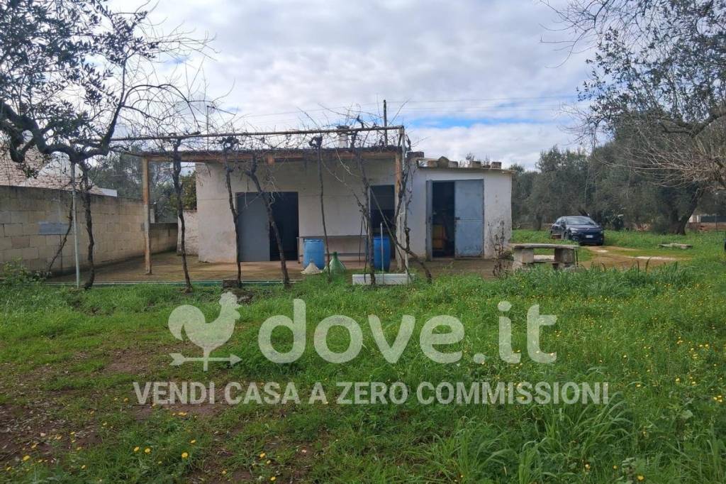 immagine annuncio 1 di 9