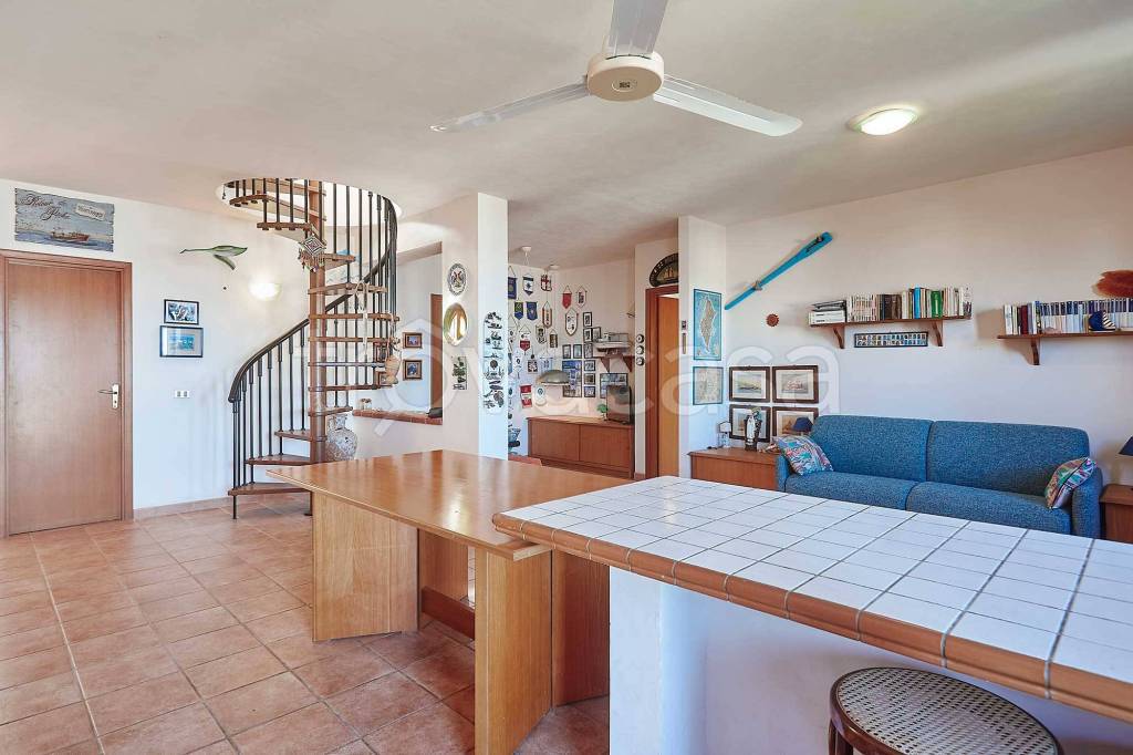 immagine annuncio 3 di 14