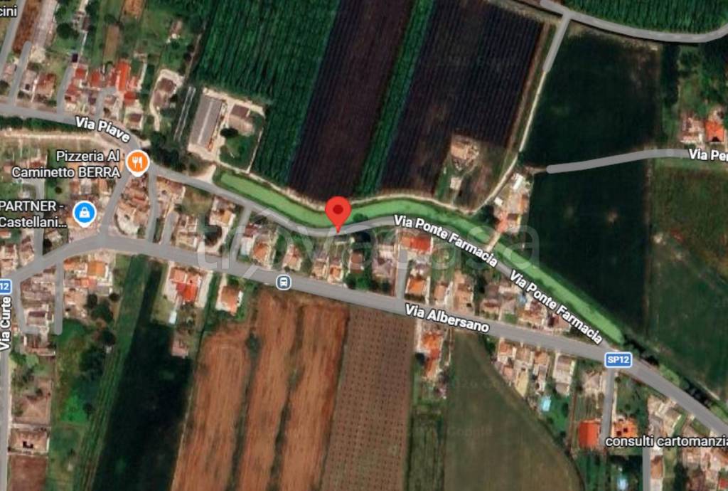 immagine annuncio 12 di 13