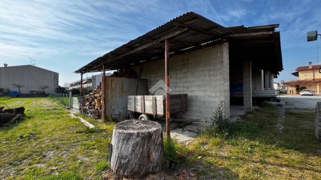 immagine annuncio 3 di 11