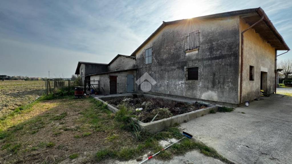 immagine annuncio 7 di 11