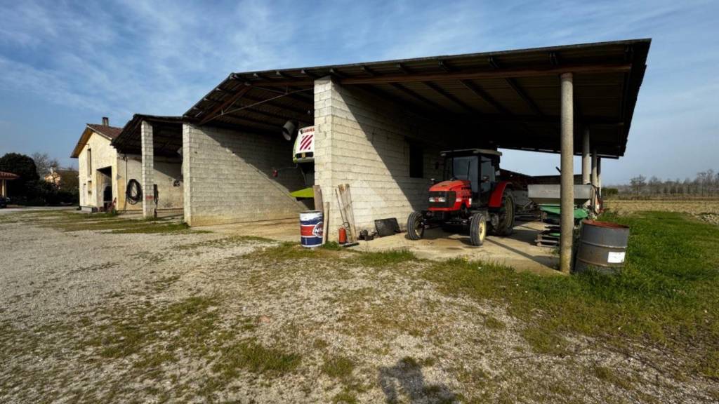 immagine annuncio 9 di 11