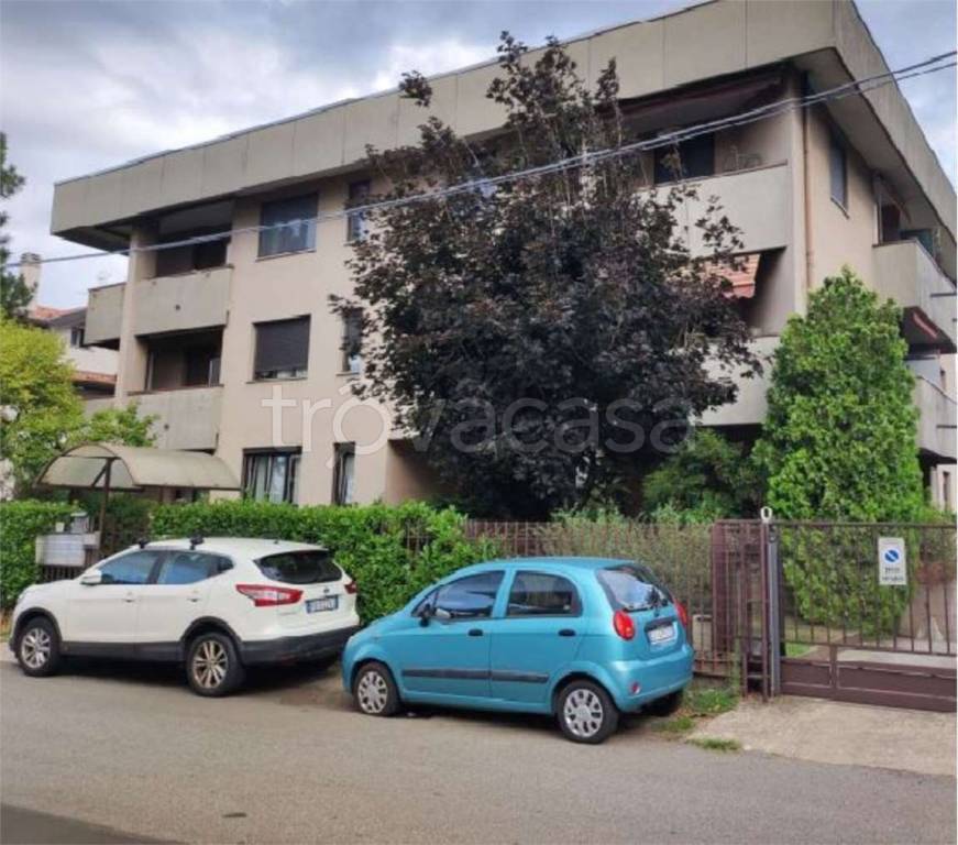 immagine annuncio 1 di 12