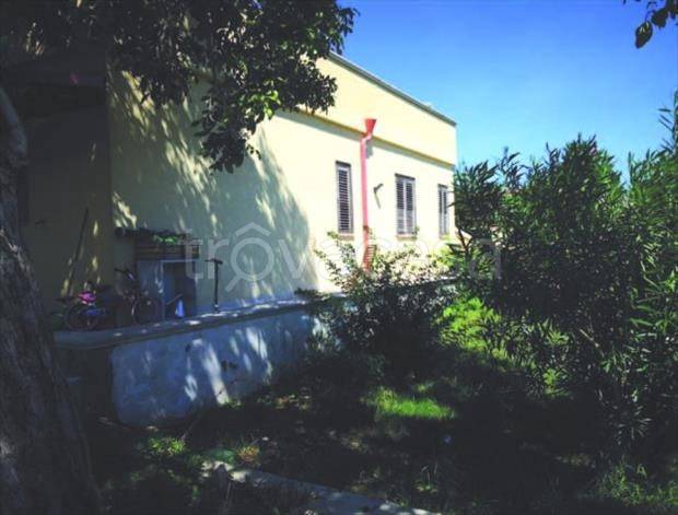 immagine annuncio 2 di 9